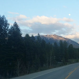 Meet your Posher, Danica